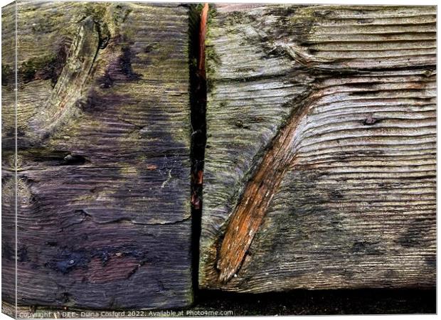 Timber Times 49                        Canvas Print by DEE- Diana Cosford