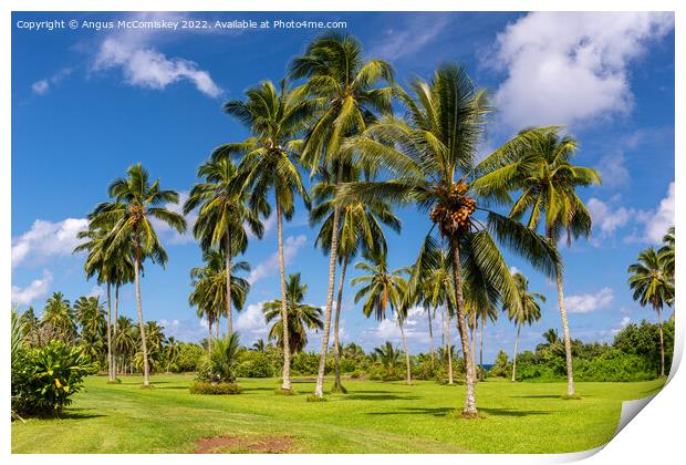 Palm trees in Kahanu Garden on Maui Island, Hawaii Print by Angus McComiskey
