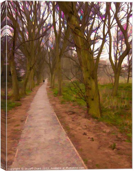 Woodland Path Lichfield Canvas Print by Stuart Chard