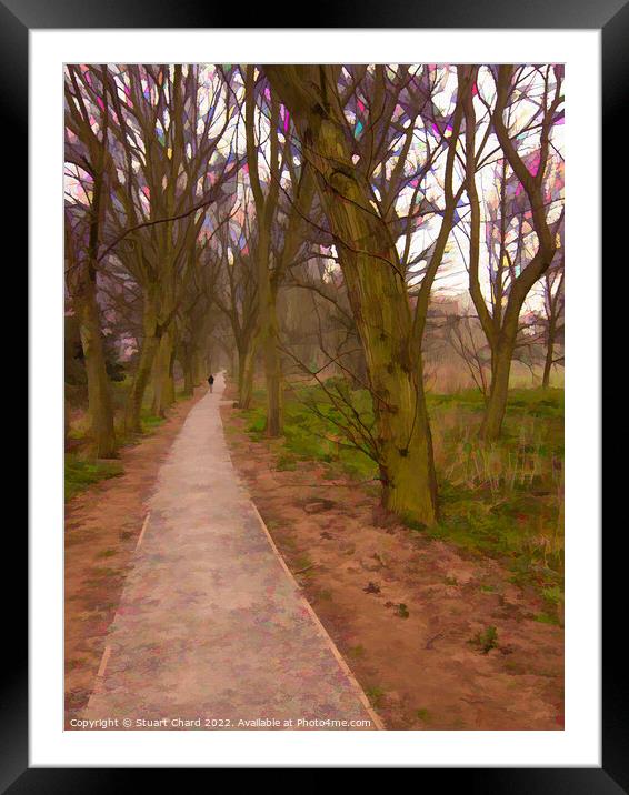 Woodland Path Lichfield Framed Mounted Print by Travel and Pixels 