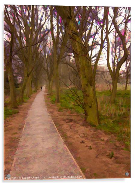 Woodland Path Lichfield Acrylic by Travel and Pixels 