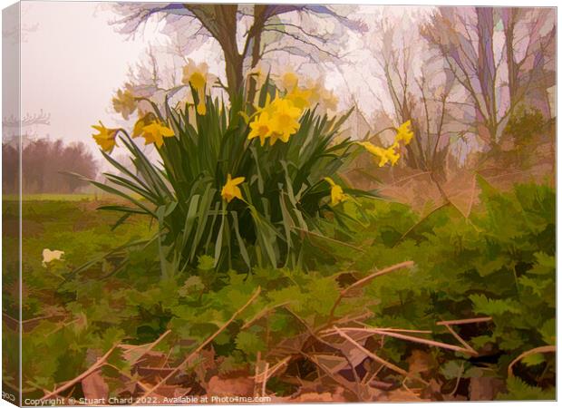 yellow daffodils in a woodland Canvas Print by Travel and Pixels 