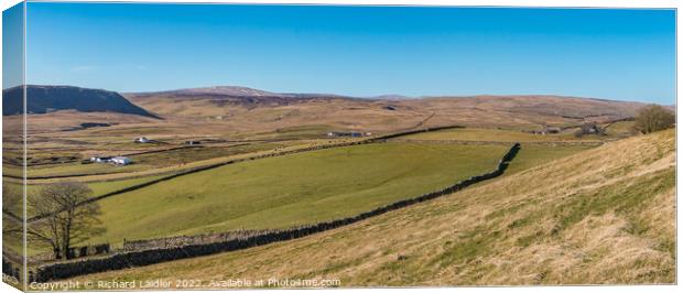 Cronkley Scar to Harwood Panorama Canvas Print by Richard Laidler
