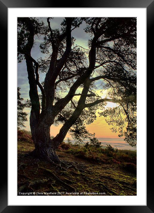 King Of The Hill Framed Mounted Print by Chris Manfield