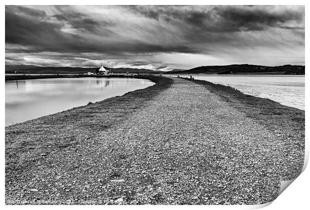 "The Enchanting Causeway: A Monochromatic Winter T Print by Mike Byers