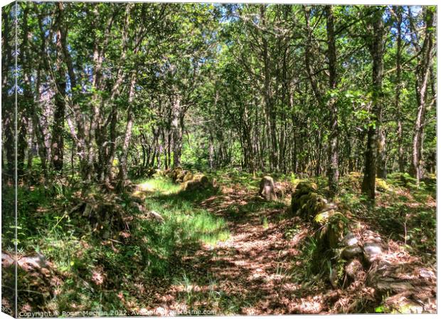 Enchanted Forest Trail Canvas Print by Roger Mechan
