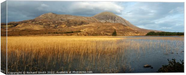 Rushes on Loch Cill Chriosd Canvas Print by Richard Smith