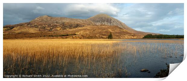 Rushes on Loch Cill Chriosd Print by Richard Smith