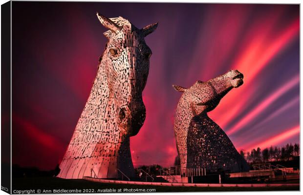 Kelpies in pink Canvas Print by Ann Biddlecombe
