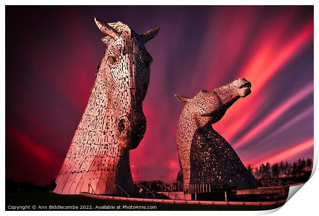Kelpies in pink Print by Ann Biddlecombe