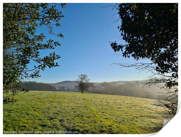 A Frosty Morning Print by I Hibbert