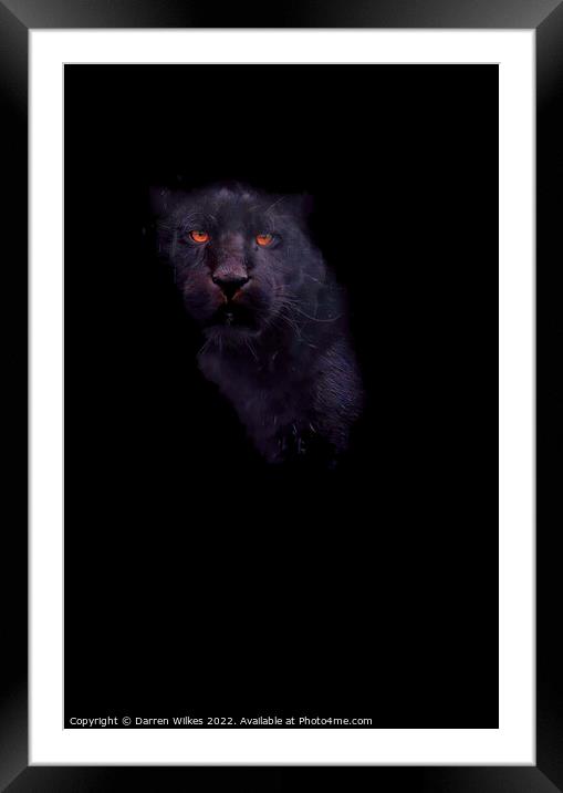 Jaguar In The Shadows  Framed Mounted Print by Darren Wilkes