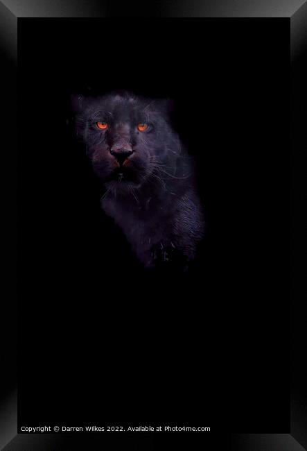 Jaguar In The Shadows  Framed Print by Darren Wilkes