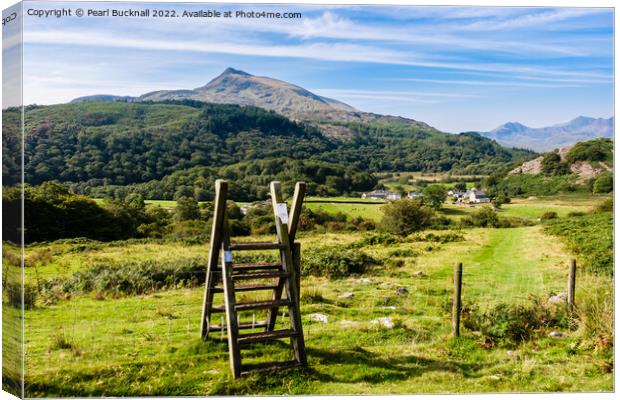 Path and View to Moel Siabod mountain in Snowdonia Canvas Print by Pearl Bucknall