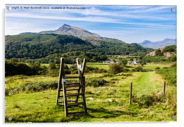 Path and View to Moel Siabod mountain in Snowdonia Acrylic by Pearl Bucknall