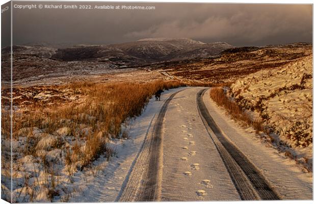 A view northwards back along the Glenmore road in winter. Canvas Print by Richard Smith