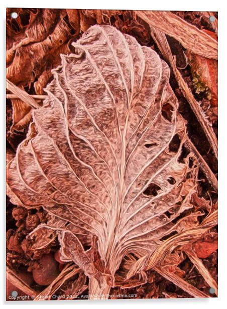 Leaf Skeleton Acrylic by Travel and Pixels 