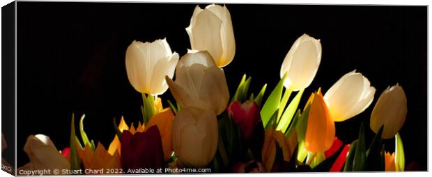 Tulip Flowers Canvas Print by Travel and Pixels 