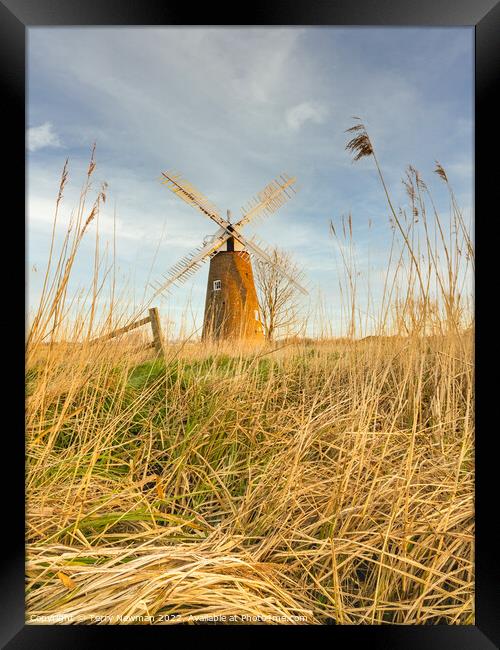The Majestic Hardley Windmill at Sunrise Framed Print by Terry Newman