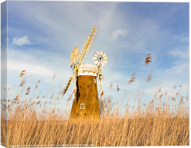 Majestic Hardley Mill in the Norfolk Countryside Canvas Print by Terry Newman
