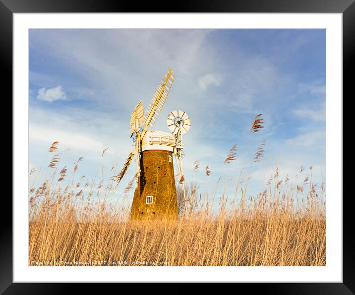 Majestic Hardley Mill in the Norfolk Countryside Framed Mounted Print by Terry Newman