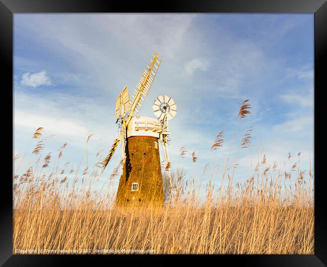 Majestic Hardley Mill in the Norfolk Countryside Framed Print by Terry Newman
