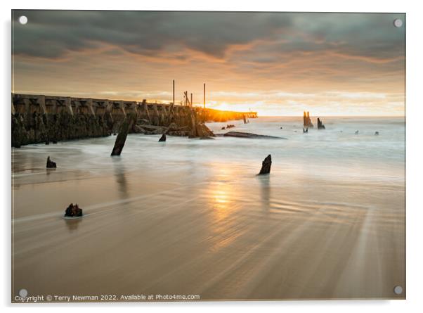 Serene Sunrise on the Walberswick Coast Acrylic by Terry Newman