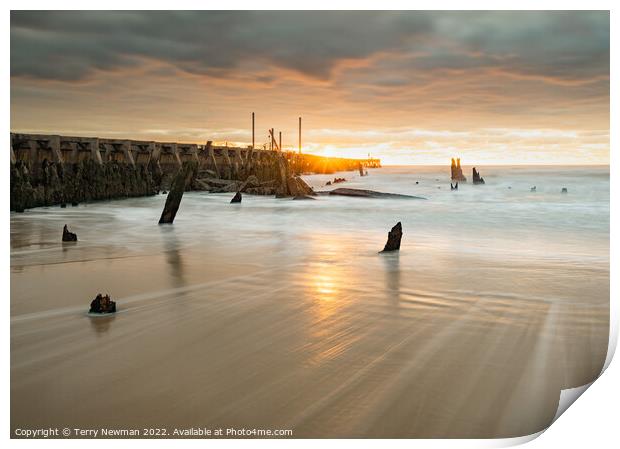 Serene Sunrise on the Walberswick Coast Print by Terry Newman