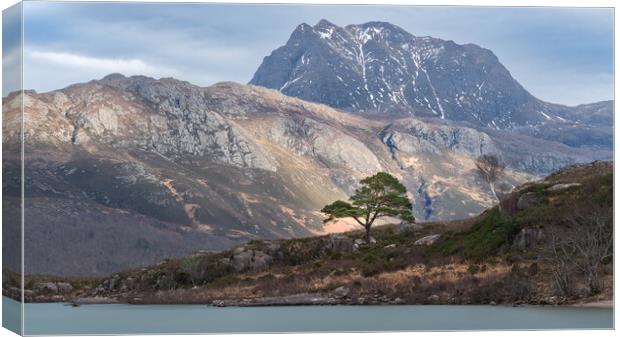 Slioch  Canvas Print by Anthony McGeever