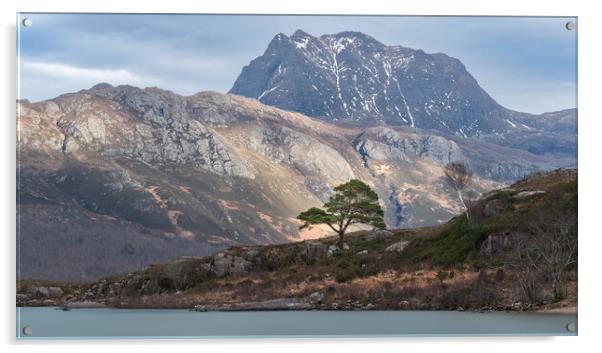 Slioch  Acrylic by Anthony McGeever