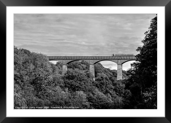Pontcysyllte Aqueduct Monochrome Framed Mounted Print by Diana Mower