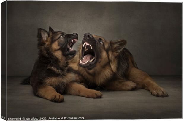 Teach me how to roar! Canvas Print by John Allsop