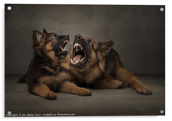Teach me how to roar! Acrylic by John Allsop