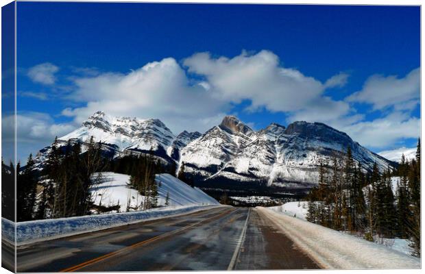 Icefields Parkway Canadian Rockies Canada Canvas Print by Andy Evans Photos