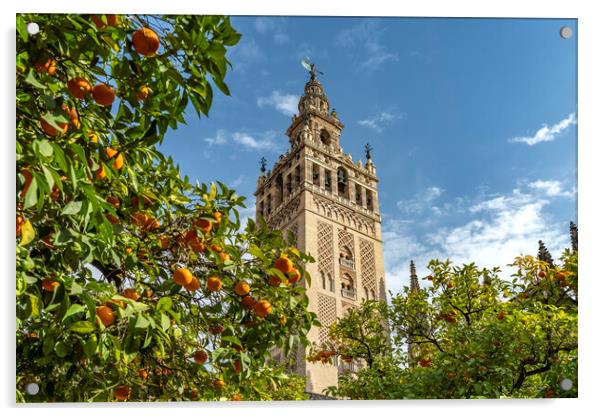 Giralda  Seville Acrylic by peter schickert