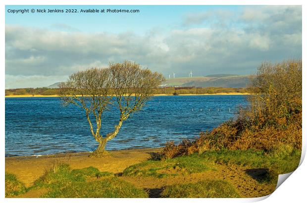 The Solitary Tree Kenfig Pool south Wales Print by Nick Jenkins
