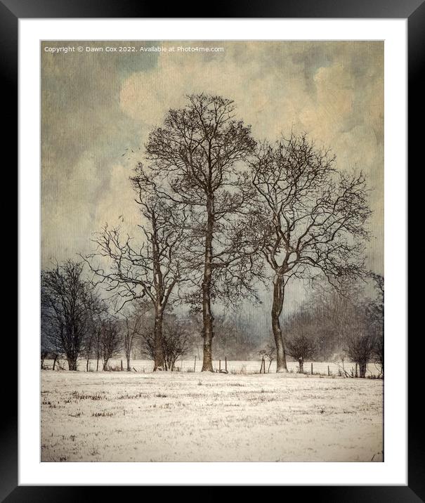 Trees in Winter Snow Framed Mounted Print by Dawn Cox