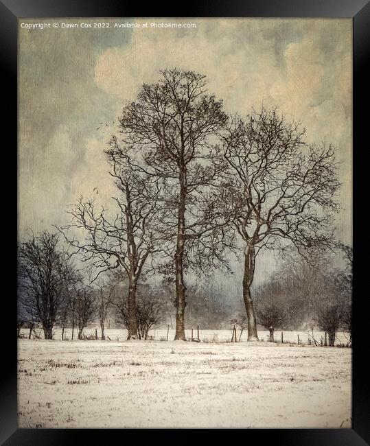 Trees in Winter Snow Framed Print by Dawn Cox