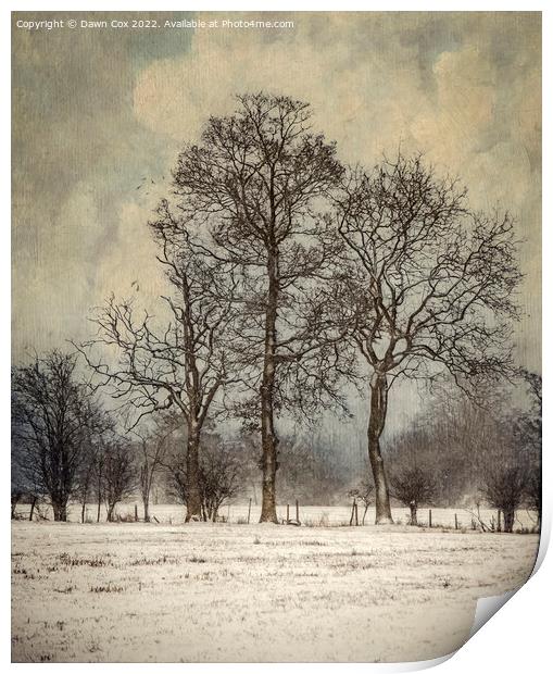 Trees in Winter Snow Print by Dawn Cox