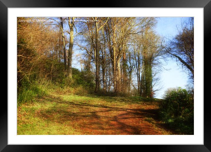 Path In The Wood Framed Mounted Print by Christine Lake