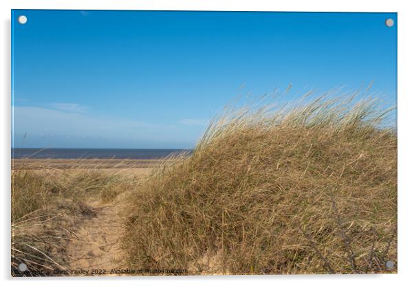 Hunstanton beach on the North Norfolk coast Acrylic by Chris Yaxley