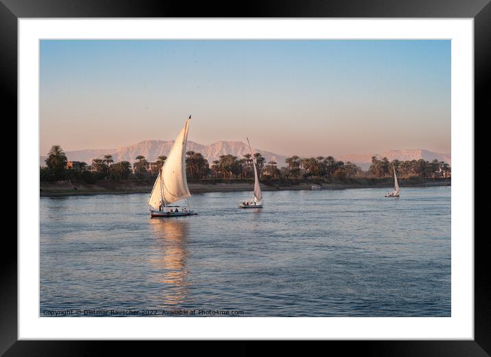 Felucca Sail Boat on the River Nile in Egypt Framed Mounted Print by Dietmar Rauscher