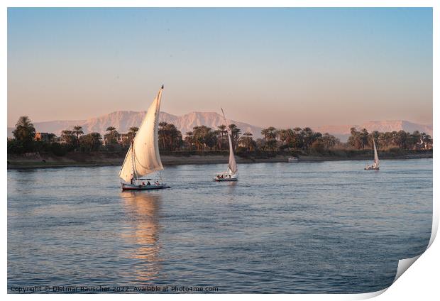 Felucca Sail Boat on the River Nile in Egypt Print by Dietmar Rauscher