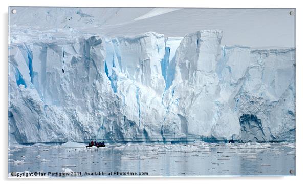 Antarctica Glacier breaks free Acrylic by Ian Pettigrew