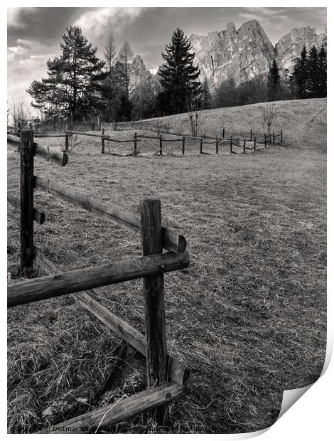 Mountain Pasture and Fence in the Dolomites Print by Dietmar Rauscher
