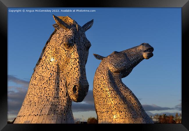 The Kelpies at golden hour Framed Print by Angus McComiskey