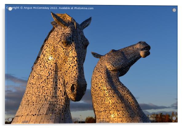 The Kelpies at golden hour Acrylic by Angus McComiskey