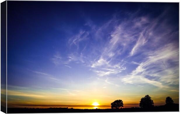 Majestic Sunset Silhouette Canvas Print by David McGeachie