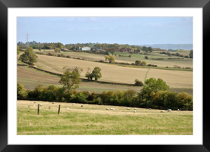 Early Autumn in the Buckinghamshire Countryside Framed Mounted Print by graham young