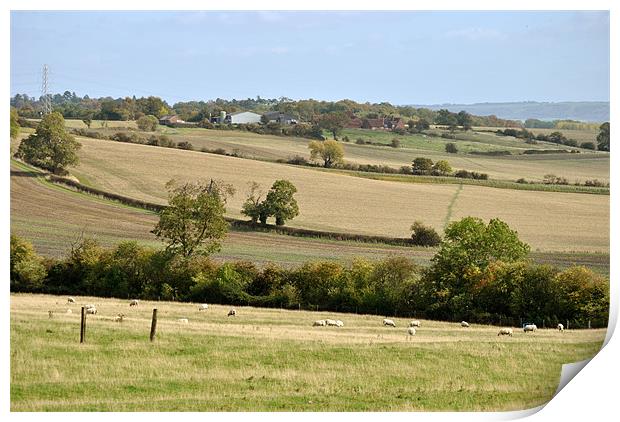 Early Autumn in the Buckinghamshire Countryside Print by graham young